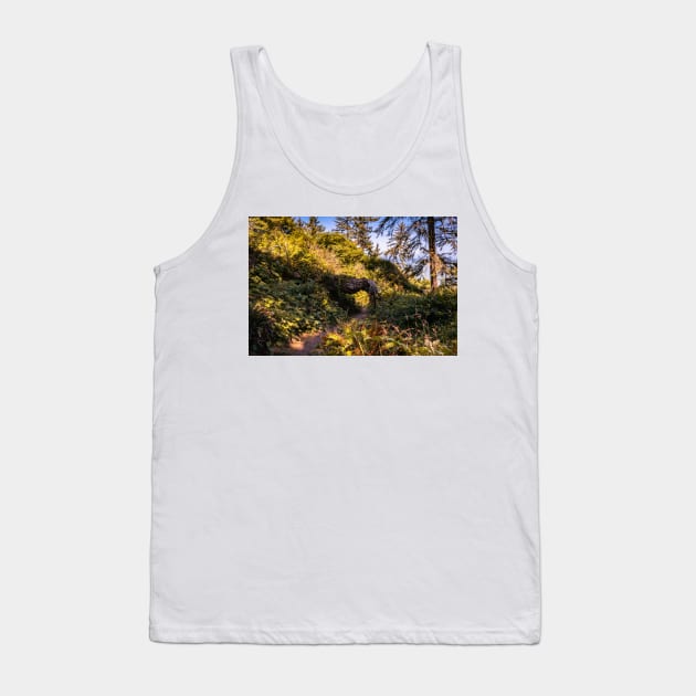 Hiking trail and a tree tunnel Tank Top by blossomcophoto